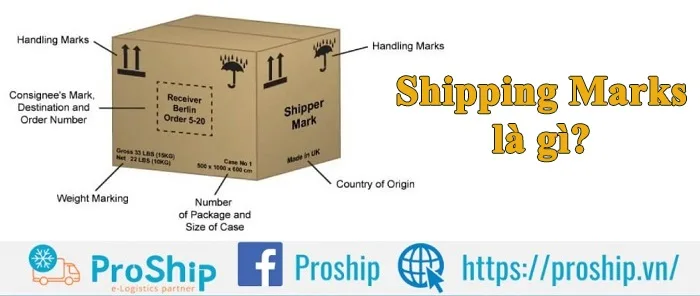 Shipping Marks là gì? Ý nghĩa và tầm quan trọng ra sao?